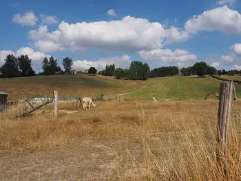 Kwaremont (Belgium)